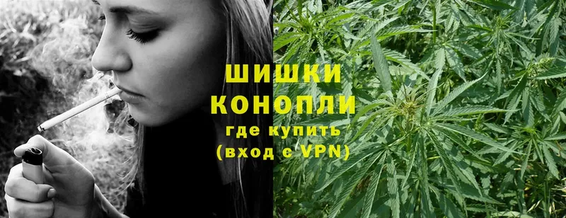 Как найти наркотики Мирный Alpha-PVP  Псилоцибиновые грибы  Мефедрон  ГАШИШ  Cocaine  Конопля 