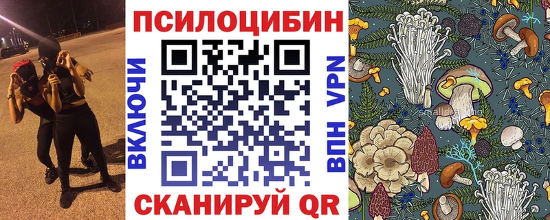 магазин  наркотиков  Мирный  Галлюциногенные грибы GOLDEN TEACHER 