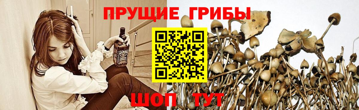Галлюциногенные грибы GOLDEN TEACHER Мирный