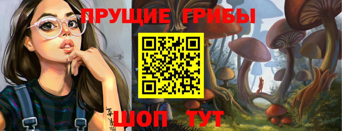 Мирный  Псилоцибиновые грибы Cubensis  Вход с VPN 